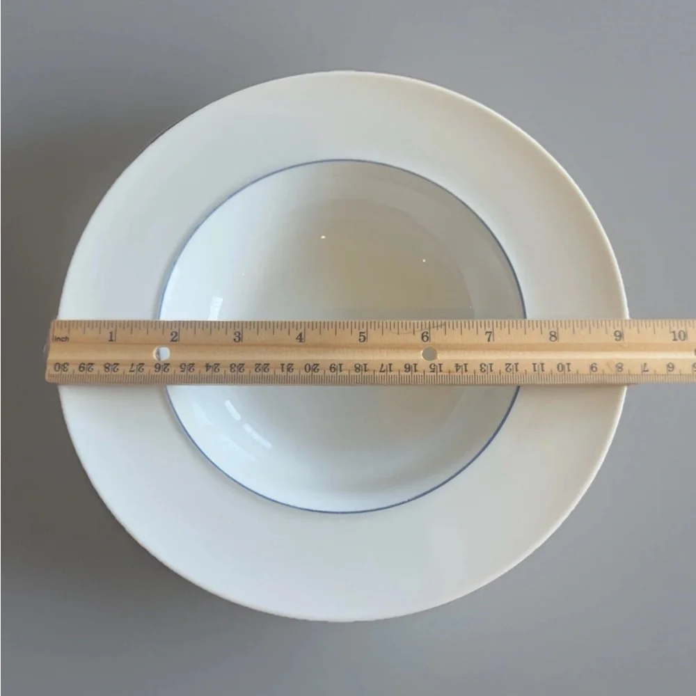 Crate & Barrel Epoch Blue Line 9.25